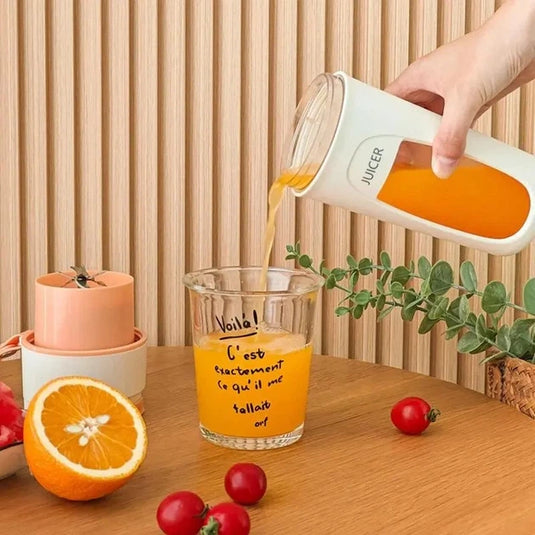 BlendGo Portable Blender