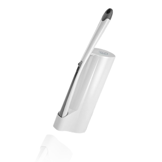 Disposable Toilet Brush
