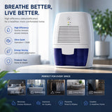 Mini Portable Dehumidifier