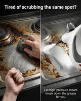 Multi-Purpose Steam Cleaner